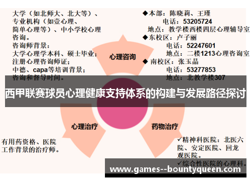 西甲联赛球员心理健康支持体系的构建与发展路径探讨