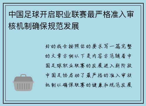 中国足球开启职业联赛最严格准入审核机制确保规范发展 中国足球开启职业联赛最严格准入审核机制确保规范发展